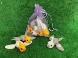 Mini Cockatiel-1