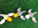 Mini Cockatiel-5