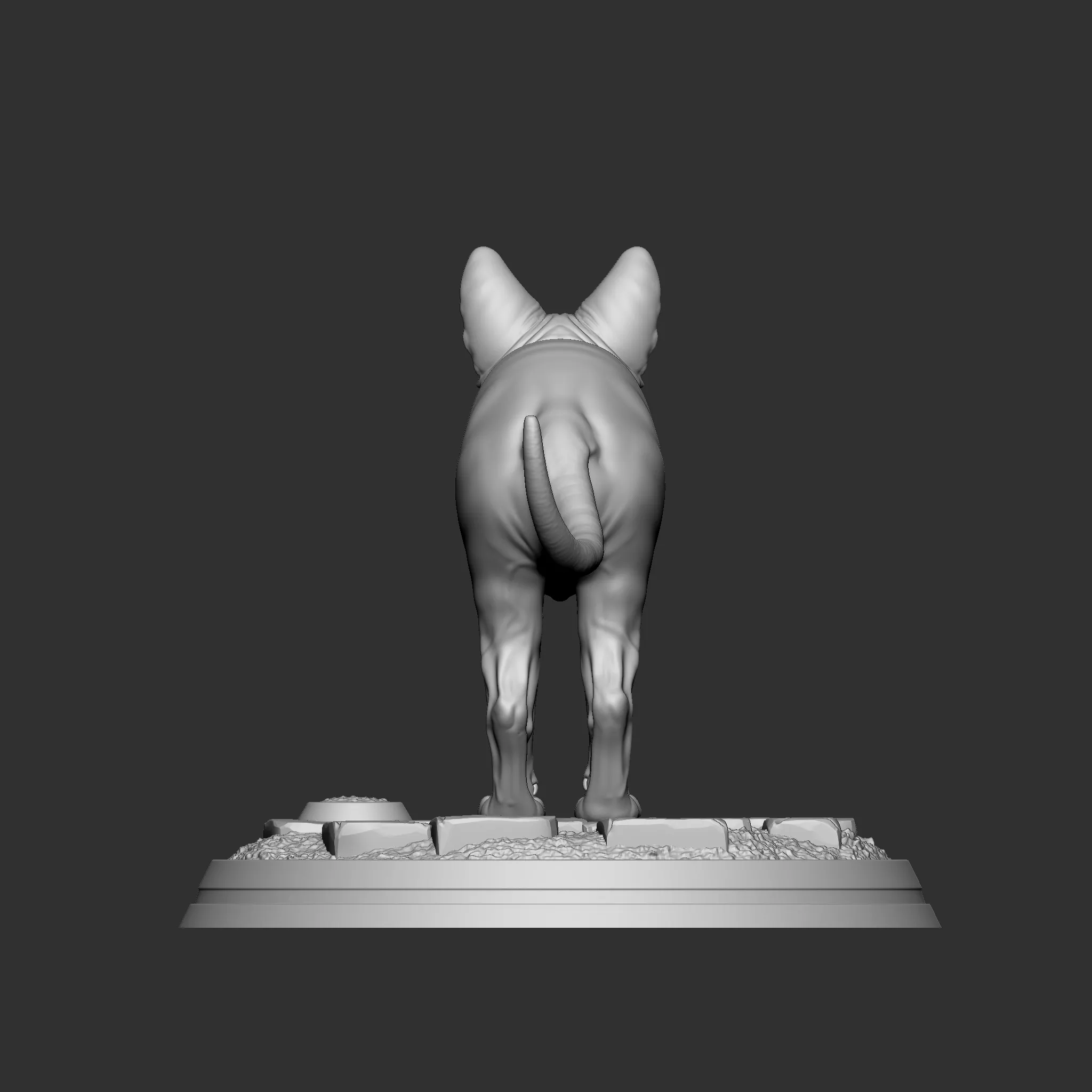 Sphynx-Katze