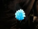 [EXCLUSIVE] Magic Wand - Emberpine-3