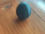 Egg collection-7