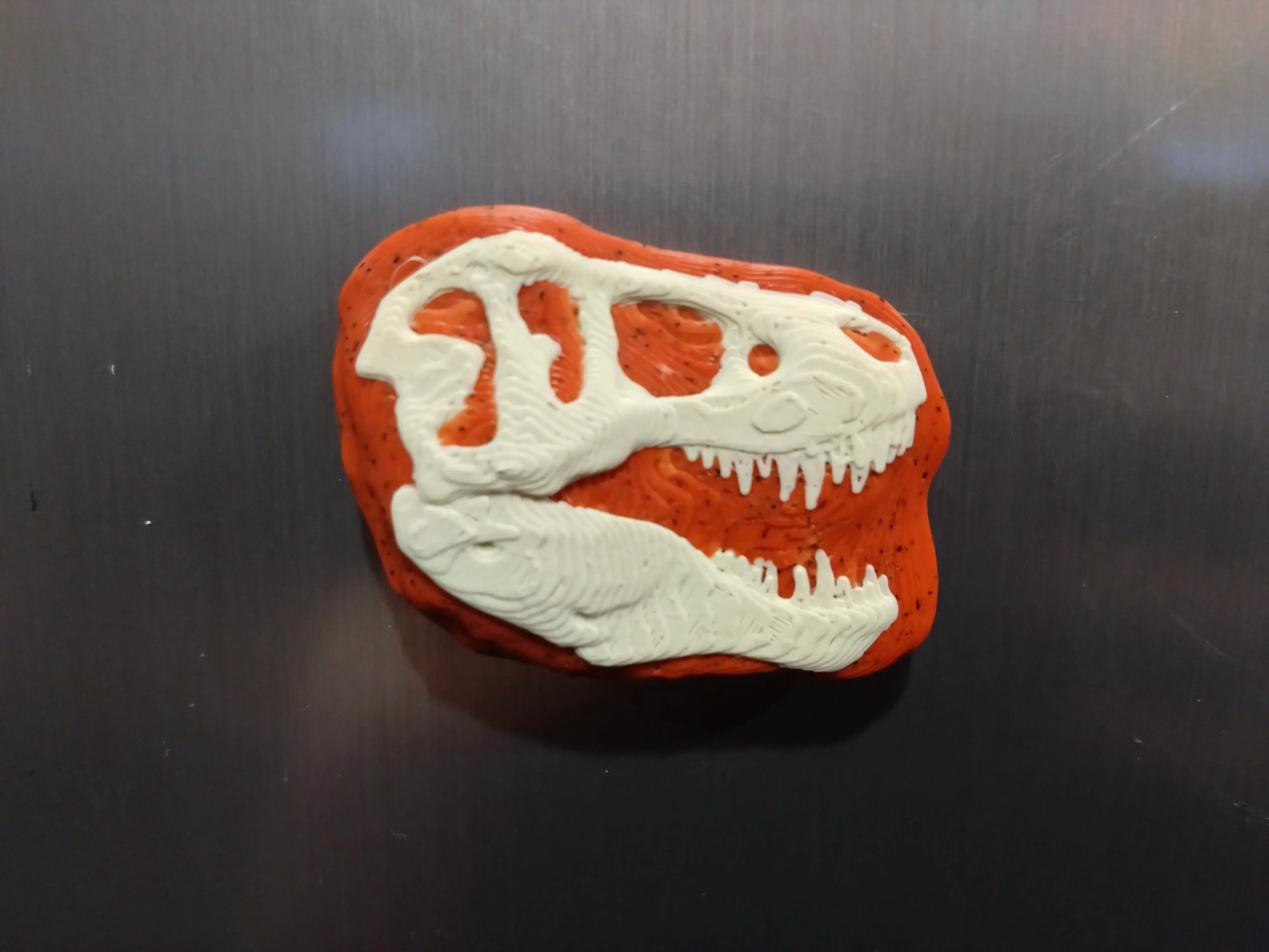 Dinosaur Fossil Skull Magnets