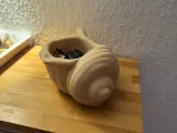 Muschelschale Schlüsselschale-2