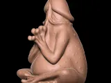 PENIS Frog-1