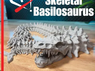 Articulated Skeletal Basilosaurus