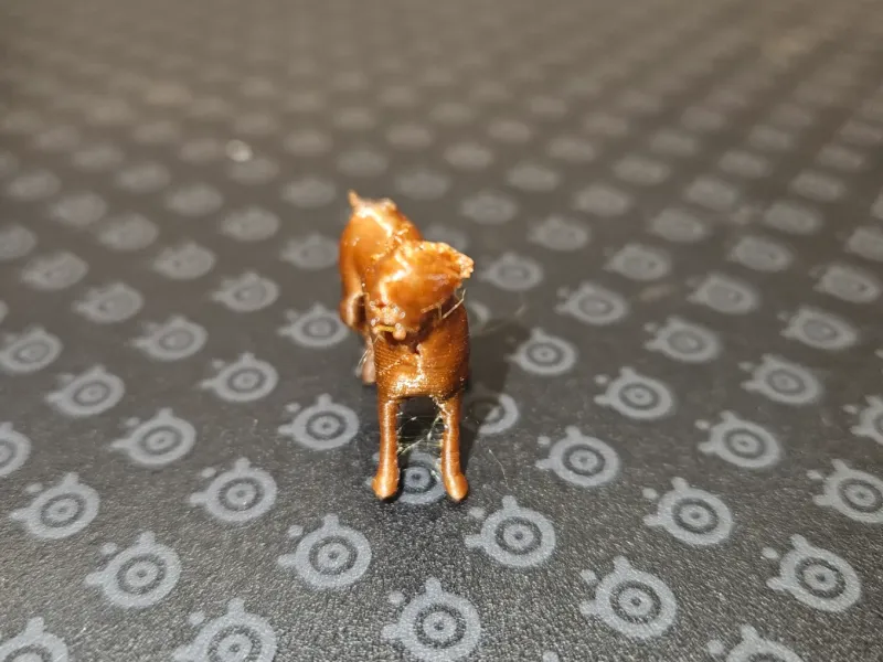 Doogs the WireHaired Doodle
