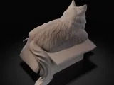 Fat cat in box-2