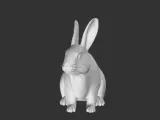 lapin-0
