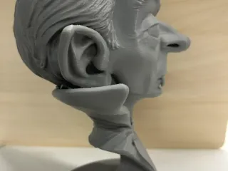 Dracula bust