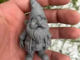 Garden Gnome, Dwarf-1