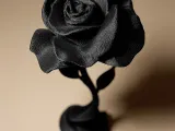 Rose Decor-2