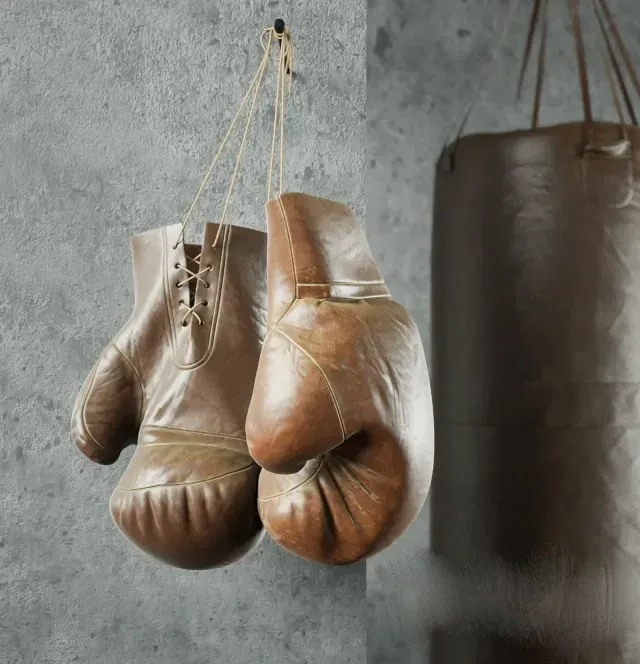 Champion (Boxing equipment)   #Other  #Models  #Sports  #box