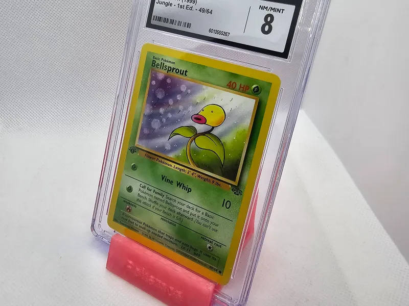 Card Display Stand