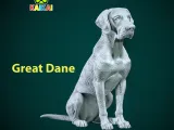 Great Dane dog model - German Mastiff dog statue - 3D print-3