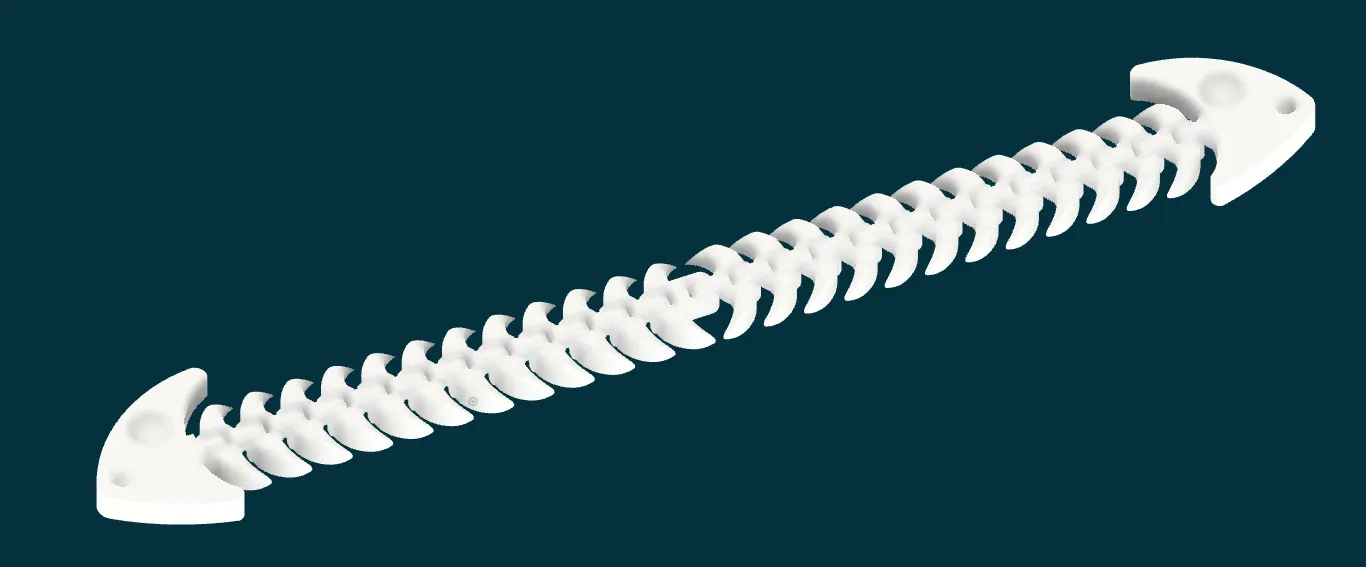 fish bone to cat collar