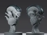 ALIEN ROMULUS - XENOMORPH--1