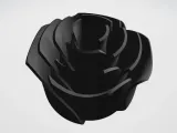 Rose-1
