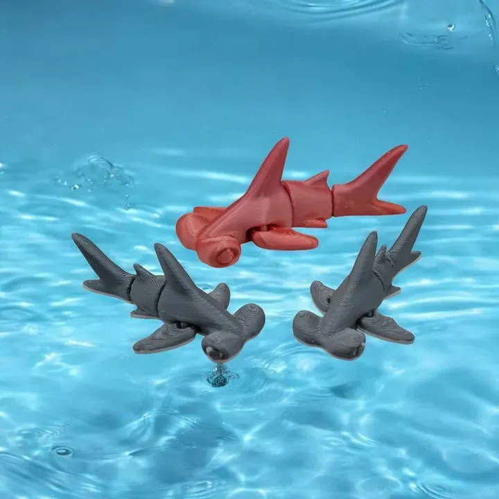 Tiny's Hammerhead Shark