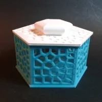 Voronoi Hexagonal Box-0