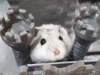 Hamster castle
