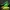 Shenlong Sculpture: Majestic Dragon Head Emerging from the C