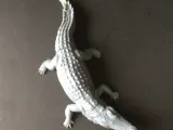 Nile crocodile-6