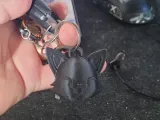 Chaveiro de Gato-0