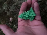 Coniferous trees diorama-4