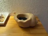 Muschelschale Schlüsselschale-3