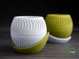 fatiado · vaso de plantas-6