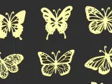 Butterfly Collection Pack-6