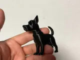 A small dog-3