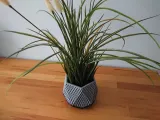 Diamond Hexagonal Planter-2