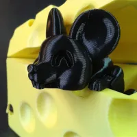 Cheese Boxed Mouse-2
