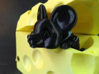 Cheese Boxed Mouse-2