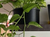 Simple Vase-1