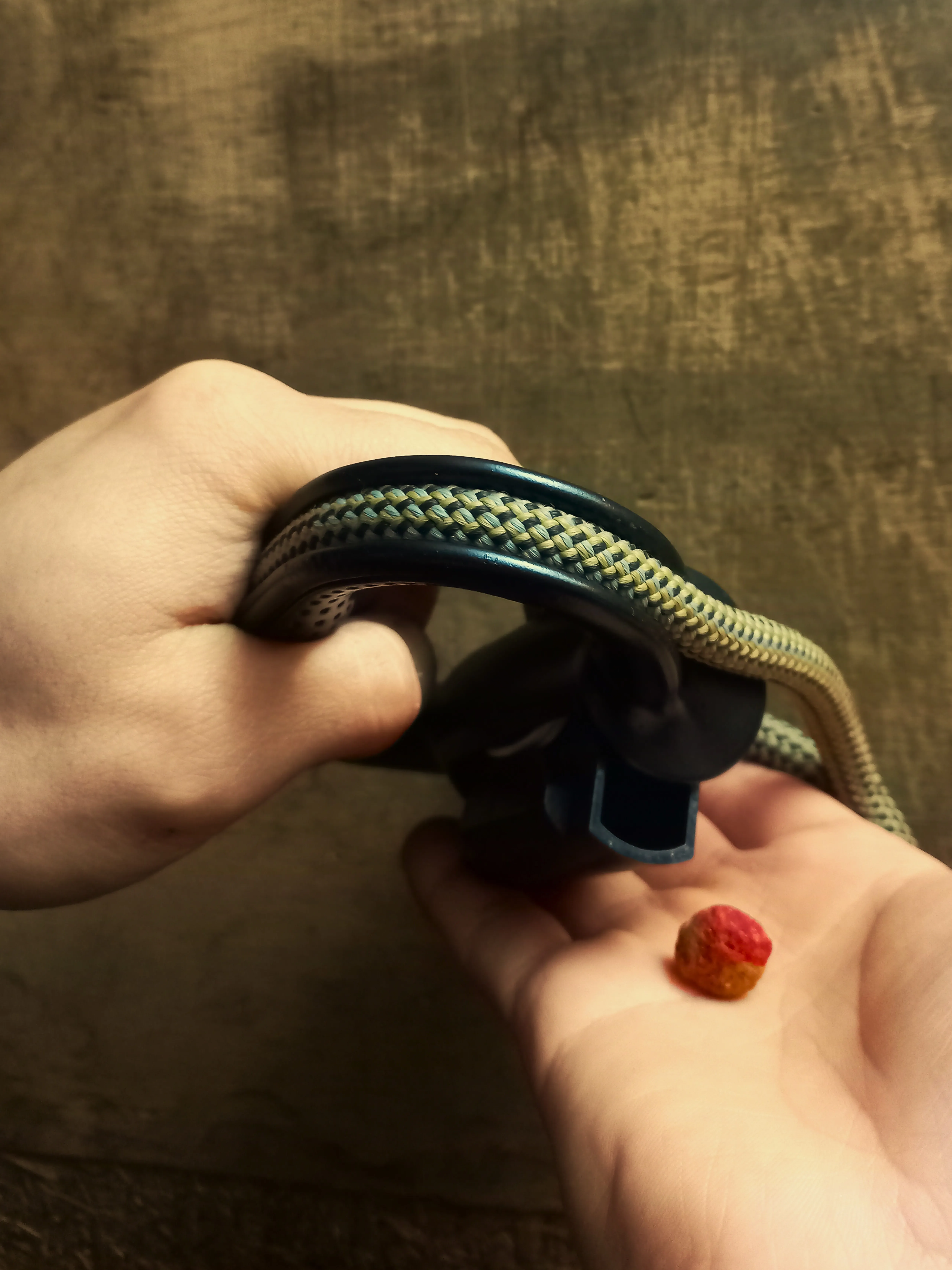 Pet Storage Leash Handle