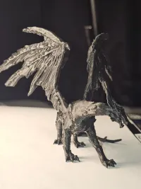 Black Dragon-1
