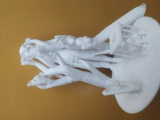 Doctor rabbit