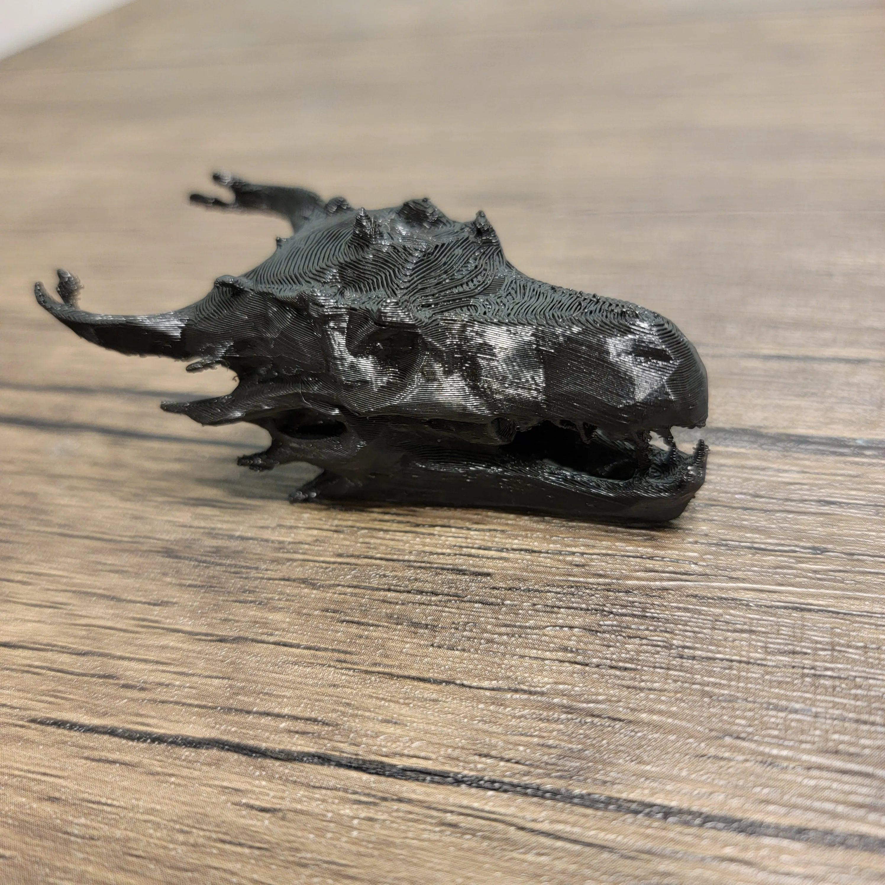 D&D Style Dragon Skull