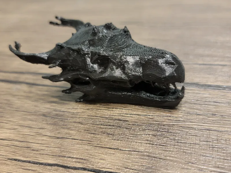 D&D Style Dragon Skull