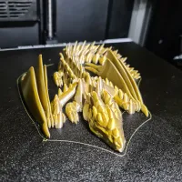 Silver Dragon-8