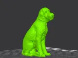 Labradoodle-3