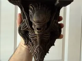 Xeno Shelf - Wall Mounted Shelf-3
