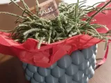 vase bubble-0