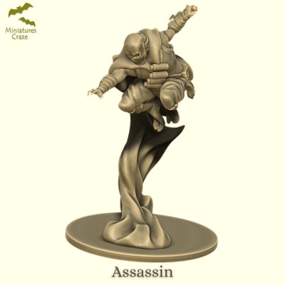 Mercenary Assassin 3d model