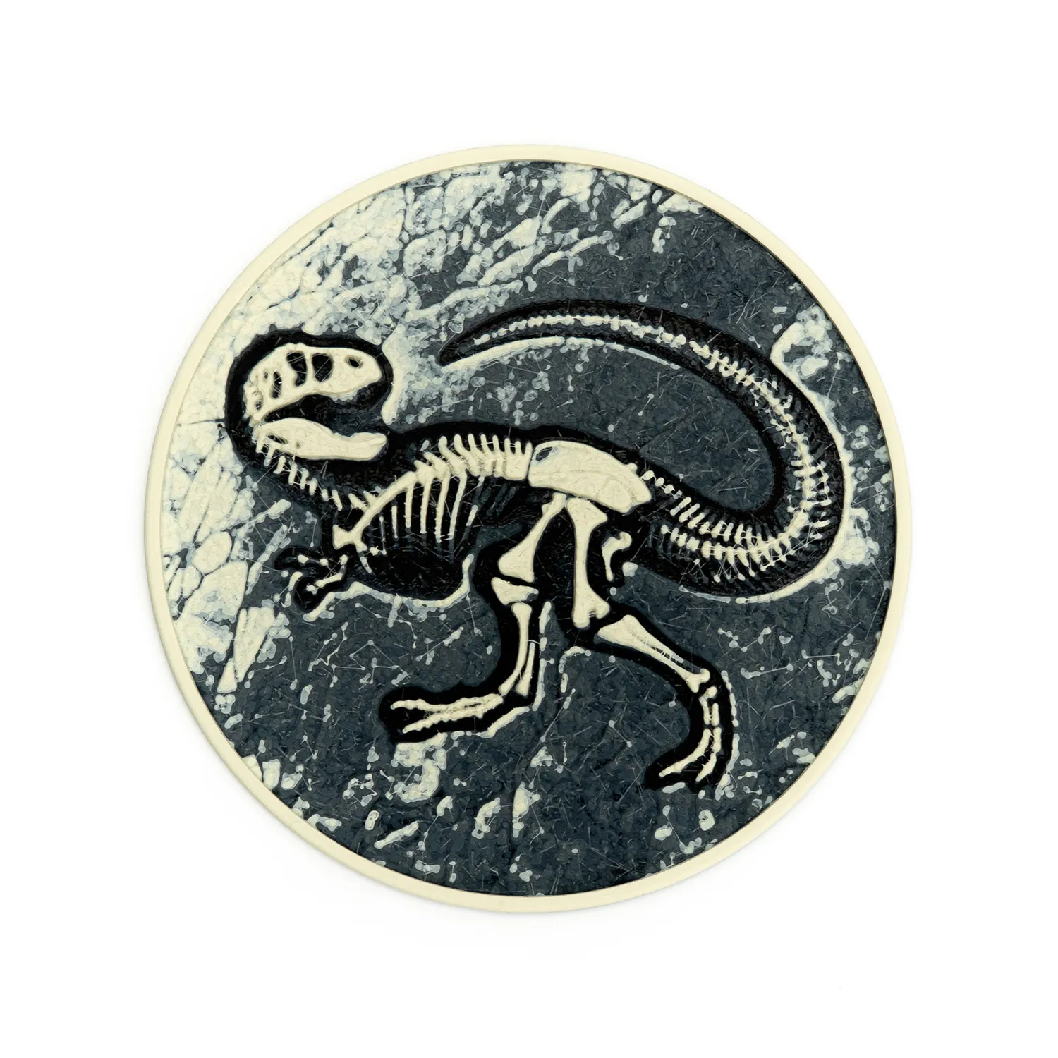Dinosaur Fossil Coasters