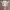 Barbie Cowgirl
