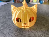 Cheshire Pumpkin-0