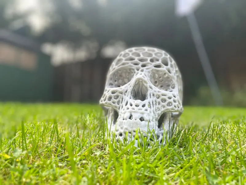 skull with candle holder